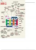 Summary for Entertainment Communication - Mind map