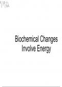 Biological Changes and Energy