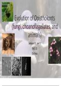 Evolution of Opisthkoponts 