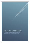 Anatomy 4: dissections