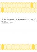 CHL2601 Assignment 7 (COMPLETE ANSWEERS) 2023 (783798)