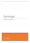 Samenvatting Sociologie I (VUB)