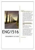 ENG1516 ASSIGNMENT 3 S1 2023