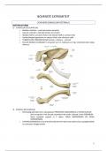 Samenvattingen Anatomie 4-Dissecties