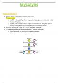 OCR A-Level Biology 5.7.2 Glycolysis