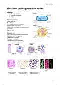 Alle hoorcolleges Gastheer-pathogeen interacties