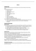 Article 6 Human Rights Essay Plan