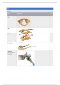 Anatomie 4, dissecties: samenvatting nek en rug