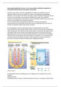Samenvatting H29 Guyton Physiology - Urine Concentration and Dilution
