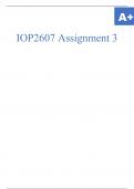 IOP2607 Assignment 3.