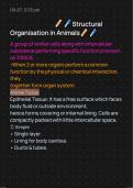 Structural organisation in animals 