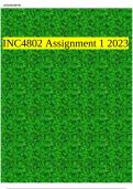 INC4802 Assignment 1 2023