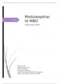 Moduleopdracht MHBO HR Management  