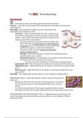 PSYB64 Chapter 3 Neurophysiology Textbook Notes - UTSC