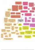 Alevel History: The Collapse of Imperial Germany Mindmap