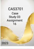 CAS3701 CASE STUDY 03 ASSIGNMENT 16 2023