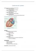 Samenvatting cardiovasculair systeem deel 1