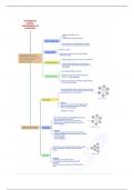 Poster / mindmap  ontologische soorten, constructen en meetmodellen