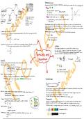 AQA A Level Physics revision poster  - PARTICLES
