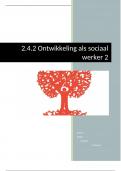 2.4.2 Ontwikkeling als sociaal werker 2 (cijfer: 8,1)