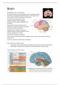BBS1004 - Brain, Behavior and Movement