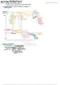 CNRA Physiology Notes 