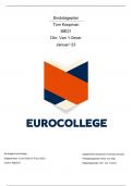 Stageplan Eurocollege Eindstage