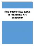 NSG 6020 FINAL EXAM B (VERIFIED A+) 2023/2024