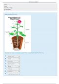 BIOL 1232K Plant Structure Lab Report - Columbus State University