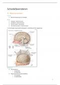 Samenvatting anatomie en fysiologie van hoofd- en halsgebied