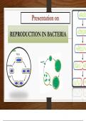 REPRODUCTION IN BACTERIA