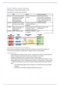 Modern cancer therapies summary
