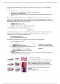 Complete summary cell biology - histology at VU Amsterdam