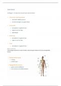 Anatomie & Fysiologie samenvatting