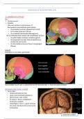 samenvatting radiologie neuroanatomie (LP6)