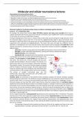 College aantekeningen MED-BMS32 Molecular and cellular neuroscience (MED-BMS32) 