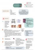 Samenvatting Leerboek Obstetrie En Gynaecologie Verpleegkunde - 3 - Obstetrie - MK-Fo1, de pasgeborene, Minor obstetrie