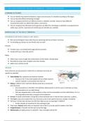 samenvatting H2 LAS FISH: basic and appropriate biology of zebrafish