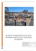 Scriptie - Sport -en Beweegactiviteit in de Openbare ruimte op het Teylerplein in Haarlem