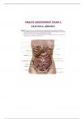Health assessment exam summary notes :the abdomen 