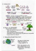 Photosynthesis (In-Depth)
