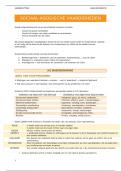 samenvatting/paper sociaal-agogische vaardigheden - mondelinge assessment