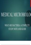 MEDICAL MICROBIOLOGY: BACTERIA