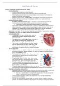 Heart Failure and Therapy (Minor Biomedical Topics in Healthcare)