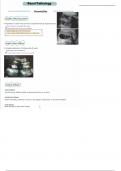 6. renal pathology (abdominal ultrasound)