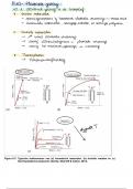 Structuur Gedrag En Duurzaamheid Van Materialen samenvatting (H10 tem H20) - 1e bachelor Industrieel Ingenieur KUL