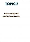 Unit 4 notes biology IAL edexcel, Microbiology 