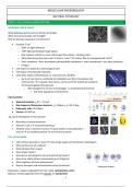 Summary Molecular Microbiology: part Physiology (VUB)
