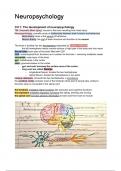 NEUROPSYCHOLOGY: SUMMARY + DRAWINGS Fundamentals of Human Neuropsychology - Neuropsychology (PABA3021)