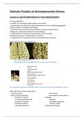 Molecular Principles of Brain Disorders: NEURODEGENERATION